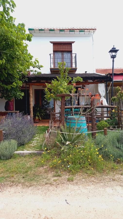 Jardines Del Acebron Guest House El Rocio Luaran gambar